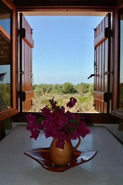 Villa David Chorafakia 0*,  Greece